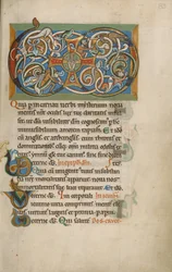 Inhabited VD Monogram